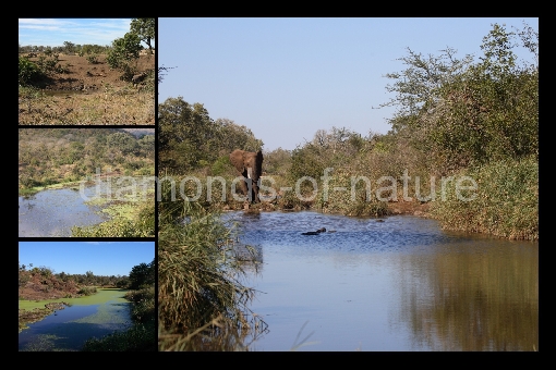 Landschaftscollage Afrika / Scenery collage Africa