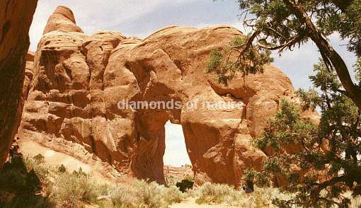 Arches Nationalpark Arch / Arches National Park Arch
