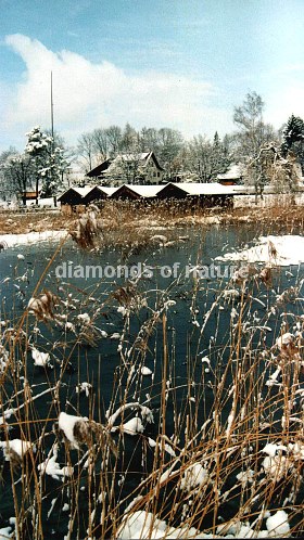 Winterlandschaft / Winter Landscape