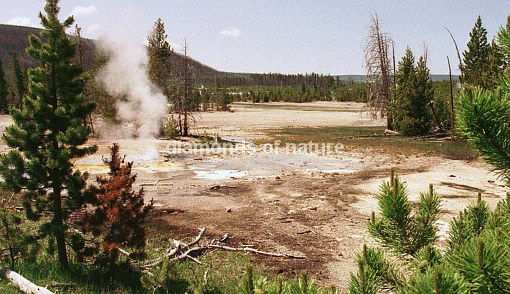 Yellowstone Norris Geyser Basin / Yellowstone Norris Geyser Basin