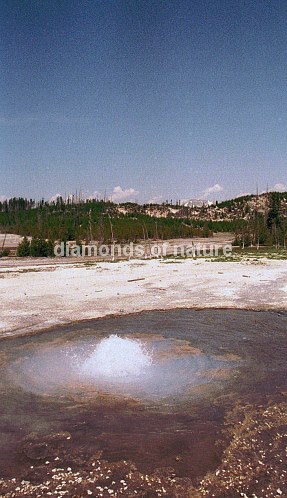 Yellowstone Norris Geyser Basin / Yellowstone Norris Geyser Basin