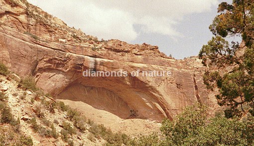 Zion Nationalpark Felsformation / Zion National Park Rock-scape