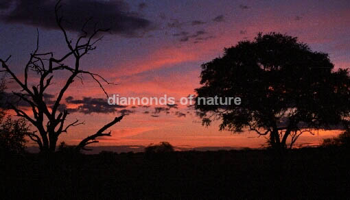 Sonnenuntergang Etosha Namibia / Sundown Etosha Namibia